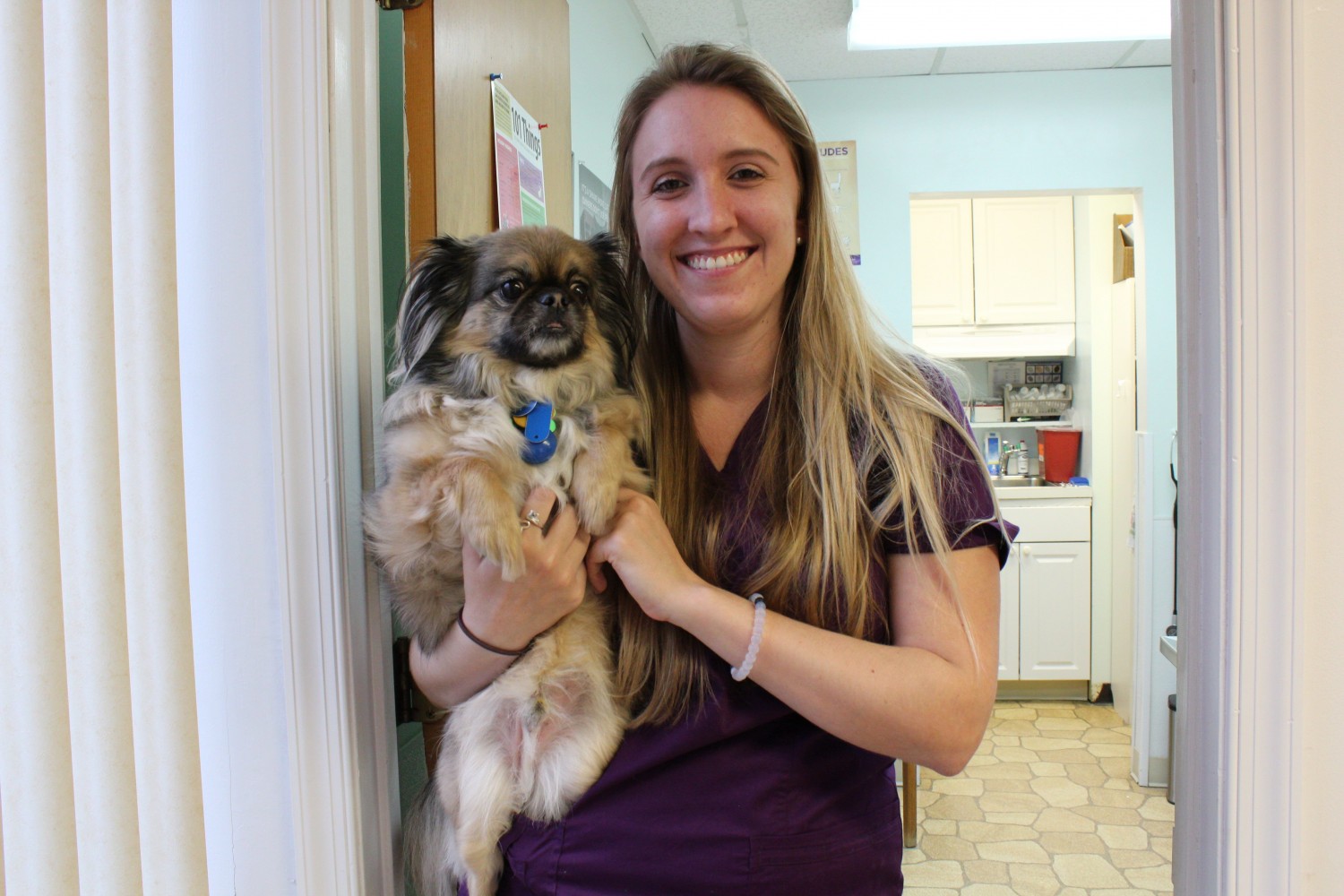 Burke Forest Veterinary Clinic - Springfield, VA - Kelsey Hart, Veterinary Assistant. Soon to be Dr. Hart Burke Forest Veterinary Clinic - Springfield, VA - Kelsey Hart, Veterinary Assistant. Soon to be Dr. Hart