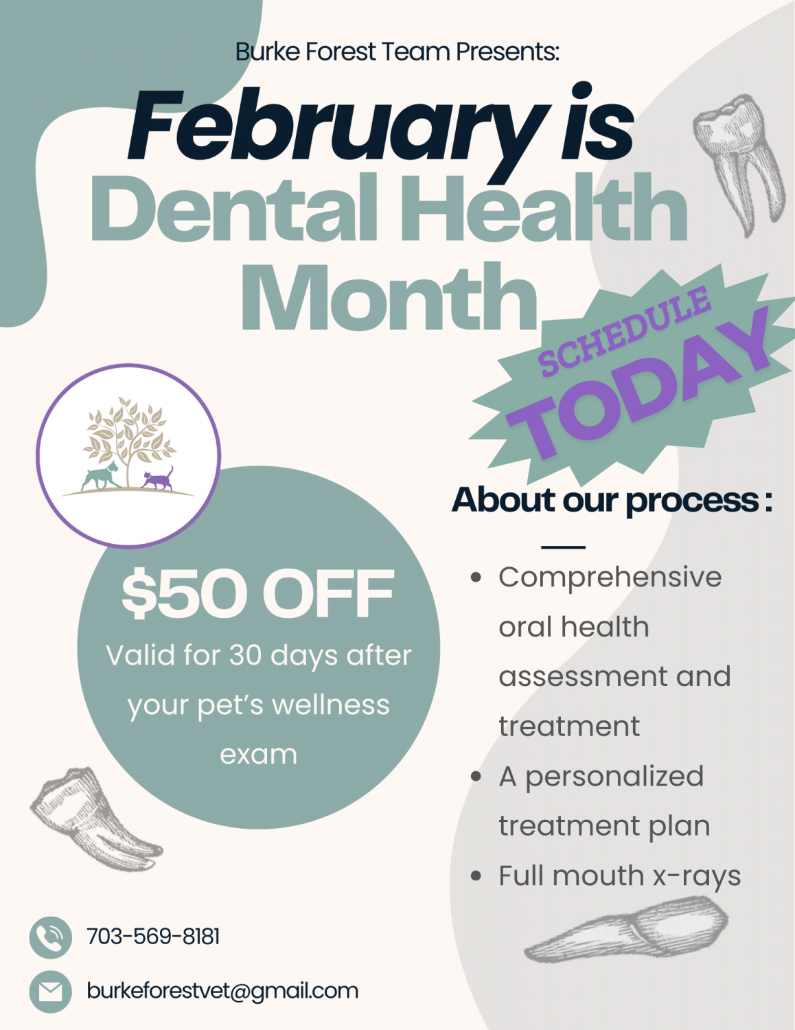 February is Dental Health Month - Schedule Today!