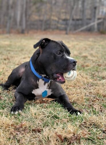 651888015_10241874777795230_9196330723328033678_n (1) 651888015_10241874777795230_9196330723328033678_n (1)