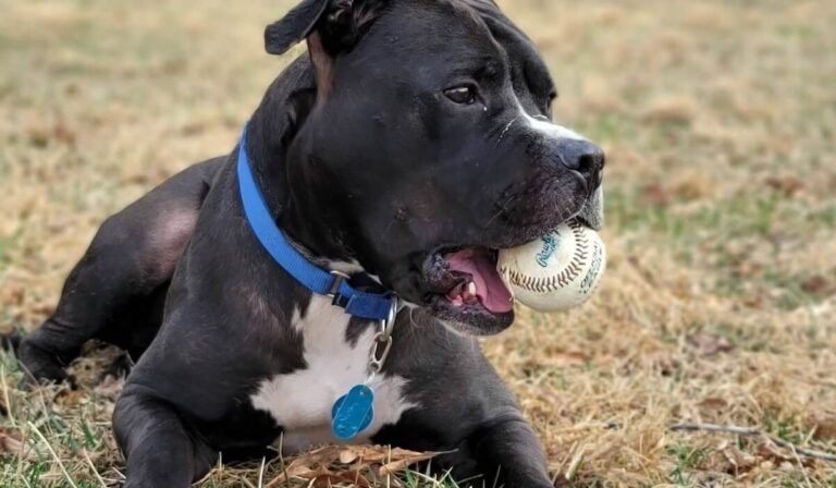 651888015_10241874777795230_9196330723328033678_n (1)