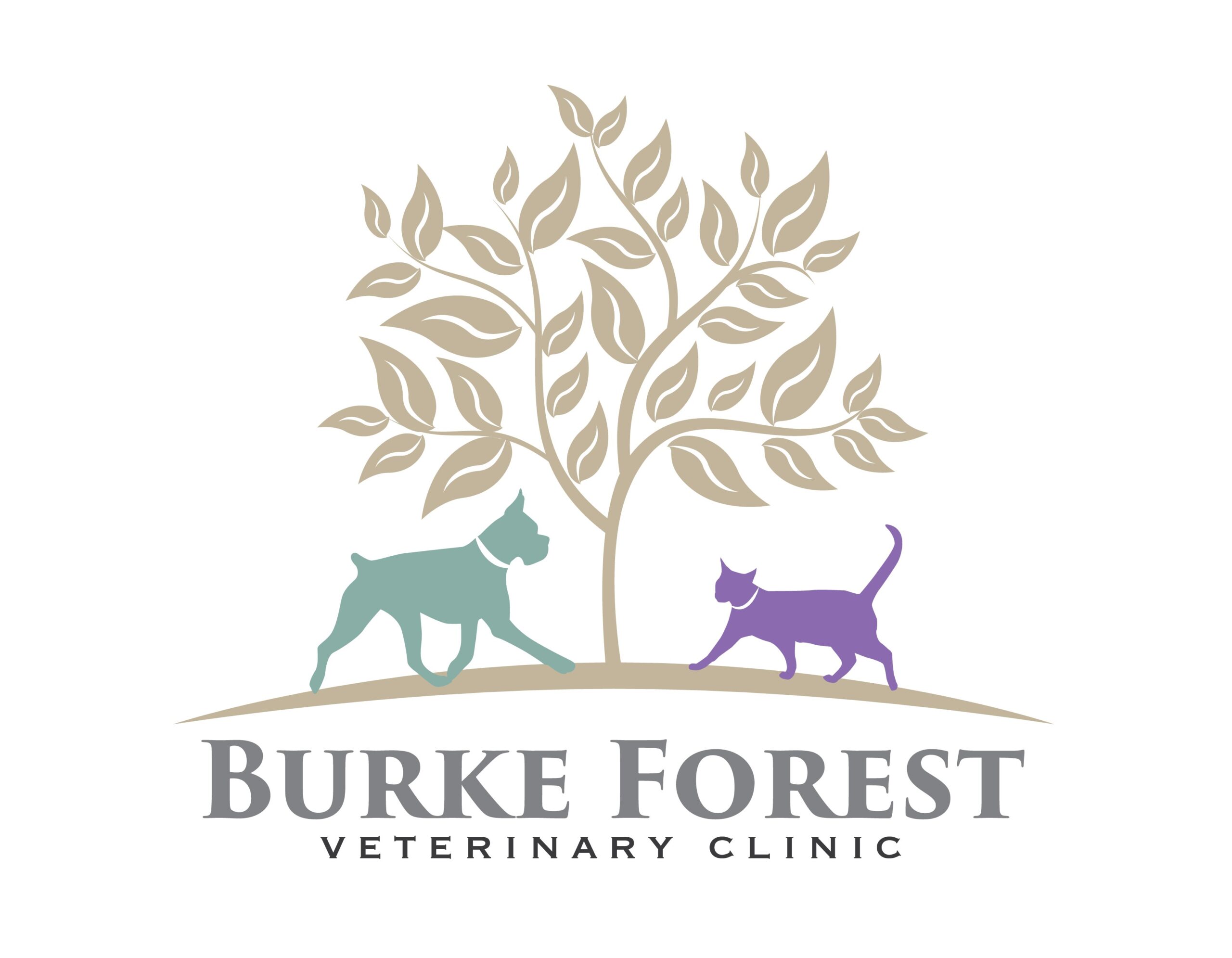 Burke Forest Veterinary Clinic logo