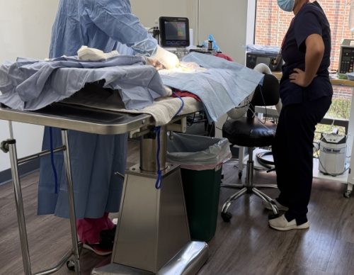 dog cat surgery diagnostics vet burke va